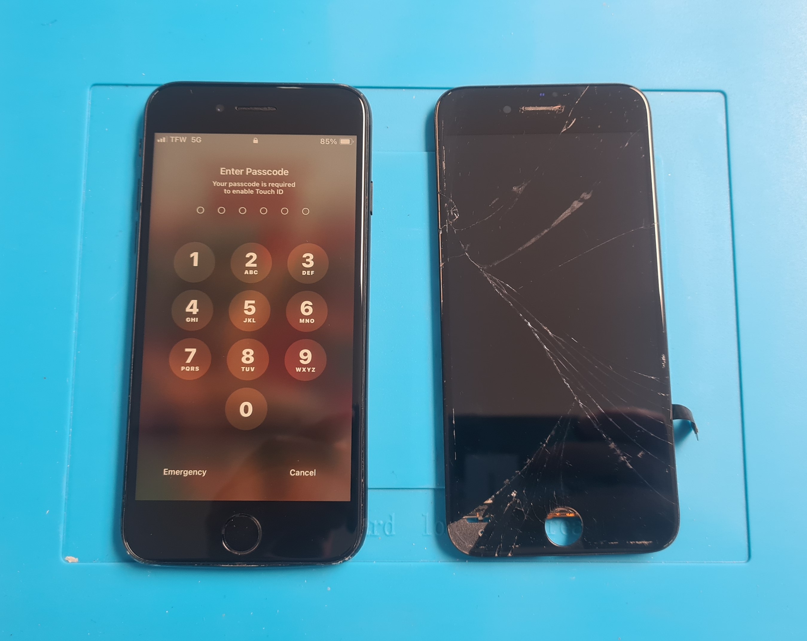 Apple Phone Repair/ iPhone SE 2020 Glass & LCD Screen Replacement