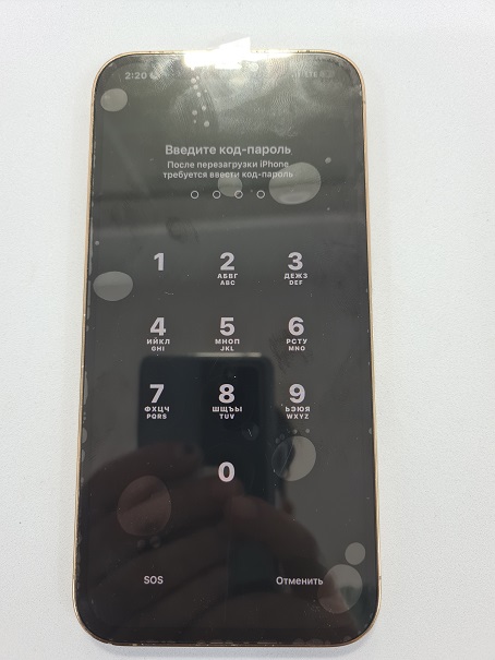 Apple Phone Repair/ iPhone 12 Pro Max LCD Screen Replacement (Premium)